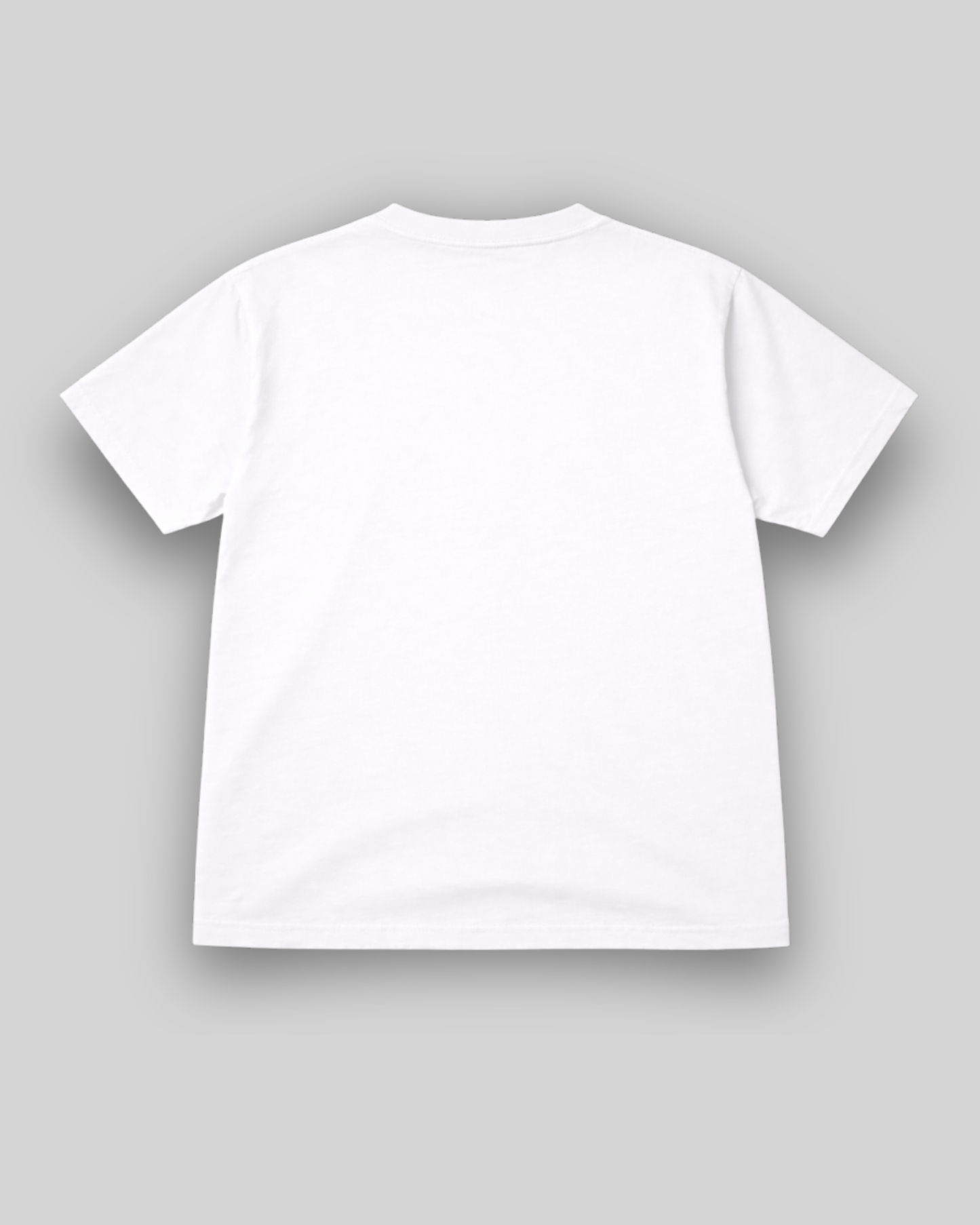 SHNSH Light Tee